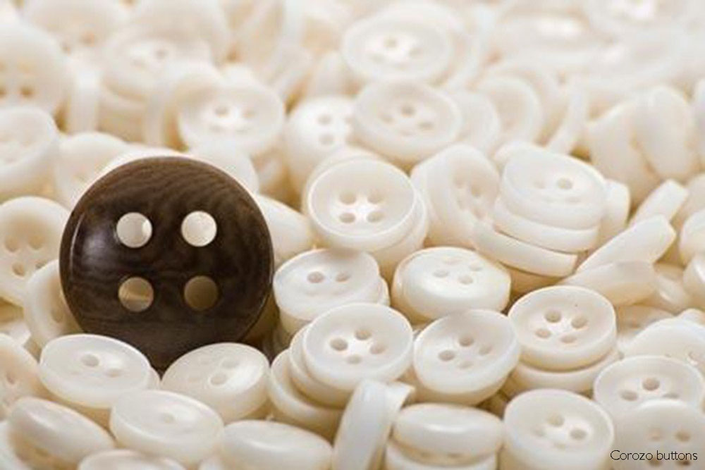 Corozo buttons