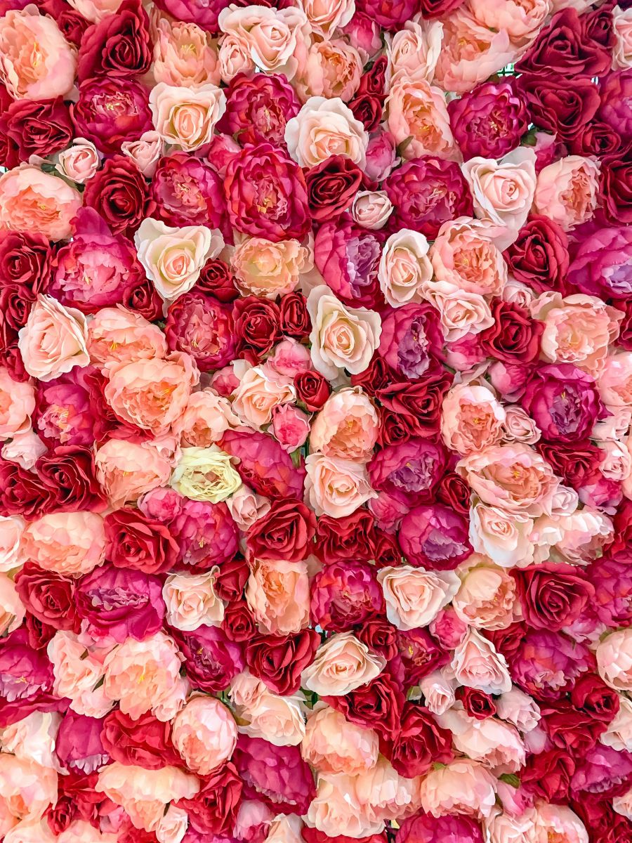 Natural Beauty Ingredient Rose