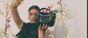 Moonray Lune bags