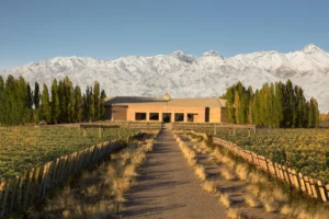 Salentein winery